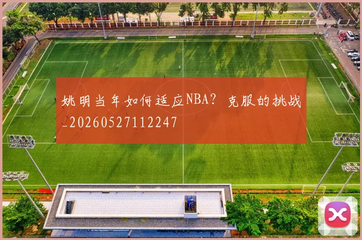 姚明当年如何适应NBA？克服的挑战_20260527112247