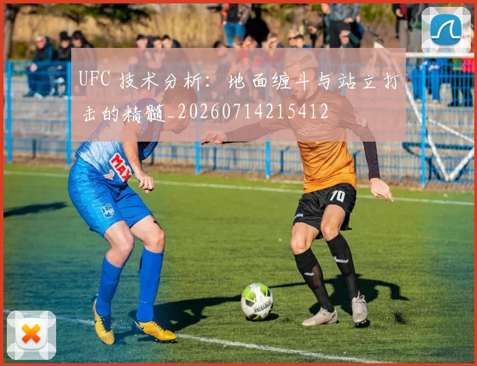 UFC 技术分析：地面缠斗与站立打击的精髓_20260714215412