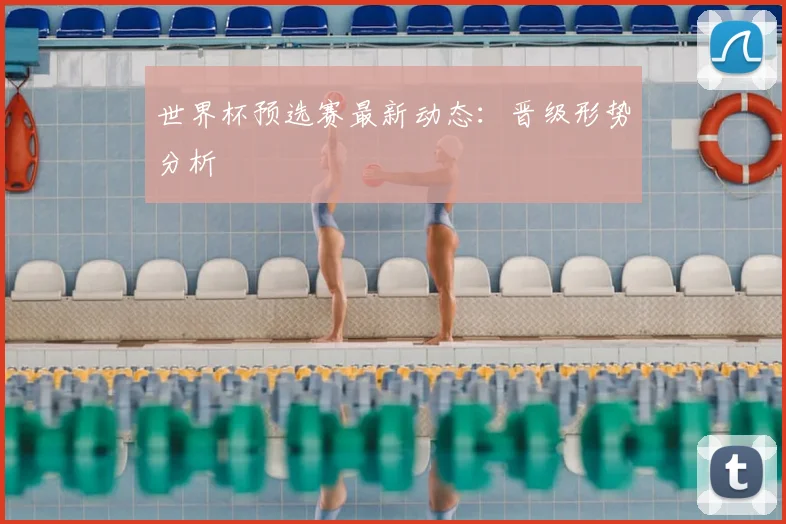 世界杯预选赛最新动态:晋级形势分析