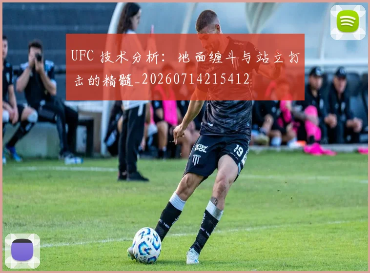 UFC 技术分析：地面缠斗与站立打击的精髓_20260714215412