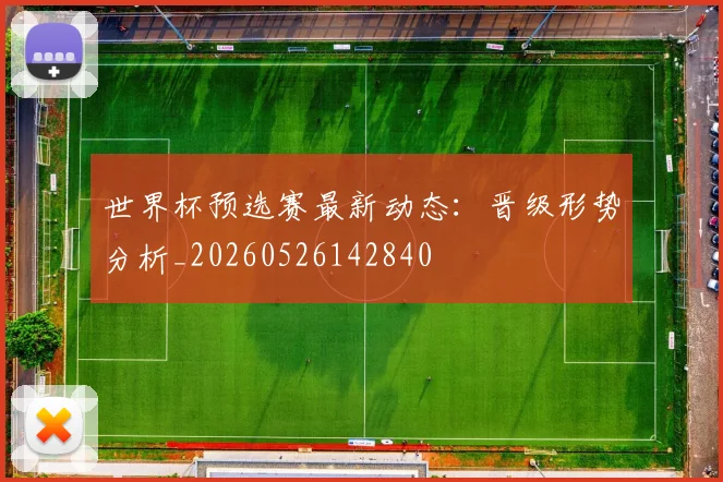 世界杯预选赛最新动态：晋级形势分析_20260526142840