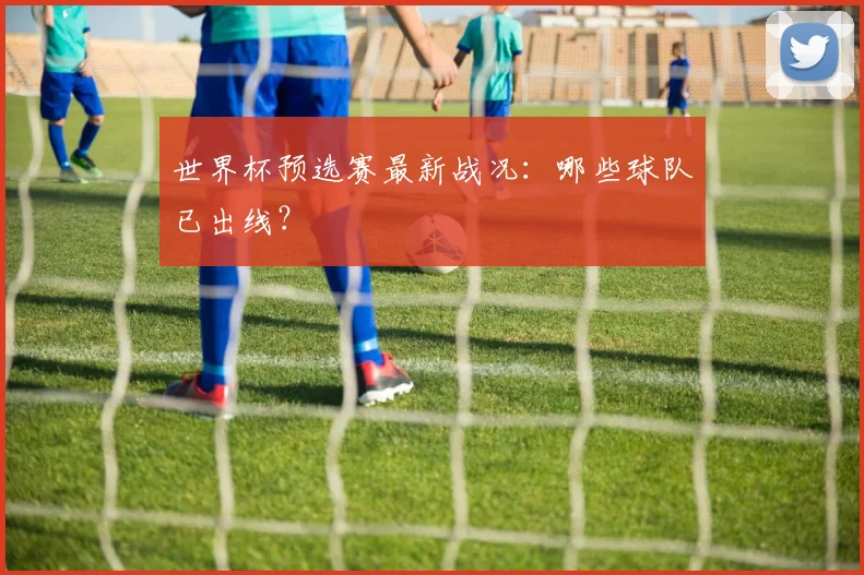 世界杯预选赛最新战况:哪些球队已出线?